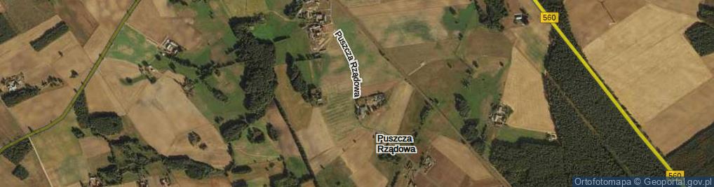 Zdjęcie satelitarne Puszcza Rządowa ul.